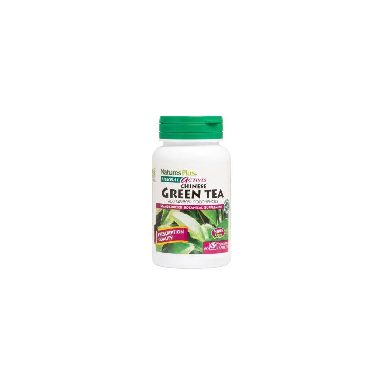 NATURES PLUS Herbal Actives Chinese Green Tea 400mg 60vegicaps