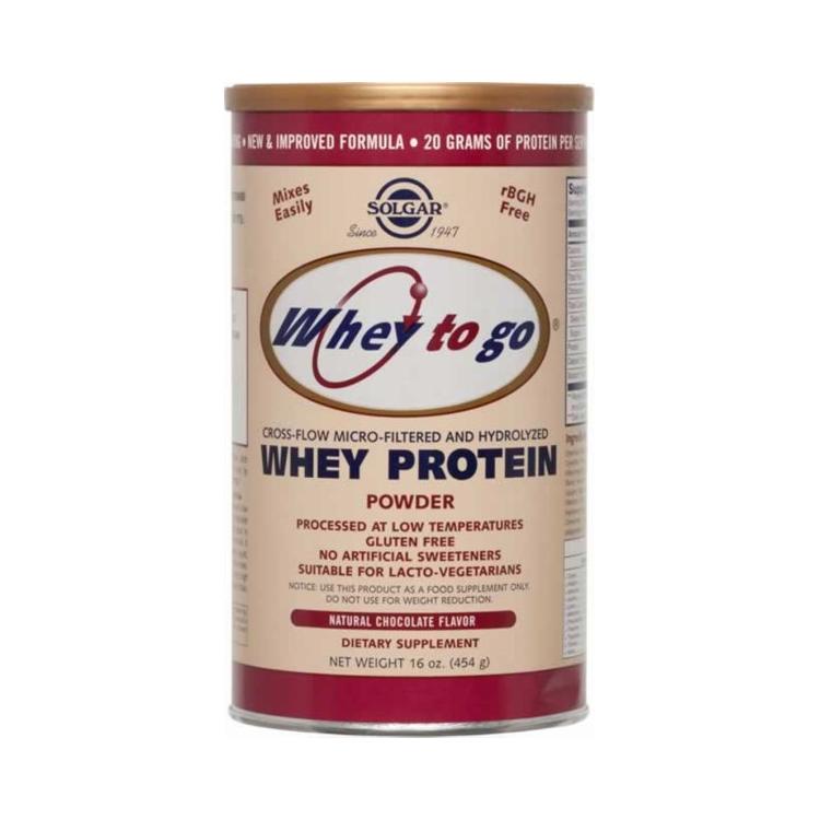 SOLGAR Whey to Go Protein Powder 454gr Σοκολάτα
