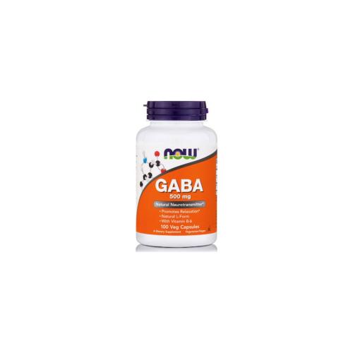 NOW FOODS Gaba 500mg With Vitamin B6 100caps
