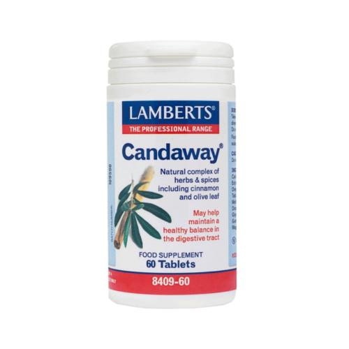 LAMBERTS Candaway 60tabs
